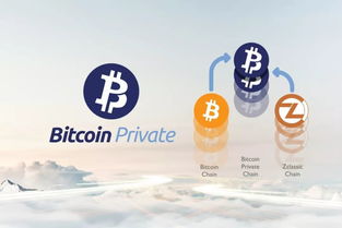 <b>Bitcoin Private Placement</b>